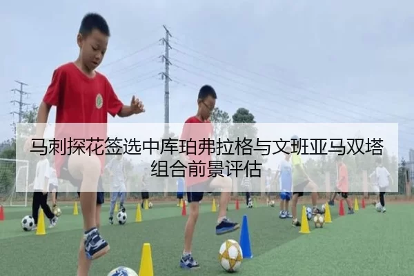ma-ci-tan-hua-qian-xuan-zhong-ku-po-fu-la-ge-yu-wen-ban-ya-ma-shuang-ta-zu-he-qian-jing-ping-gu-2-222.jpg